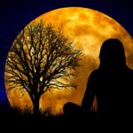 Meditate in the Moonlight - Living Qigong